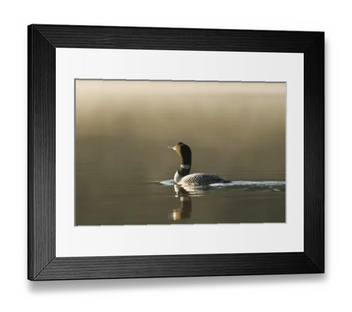Framed Print : USA, North America, Montana