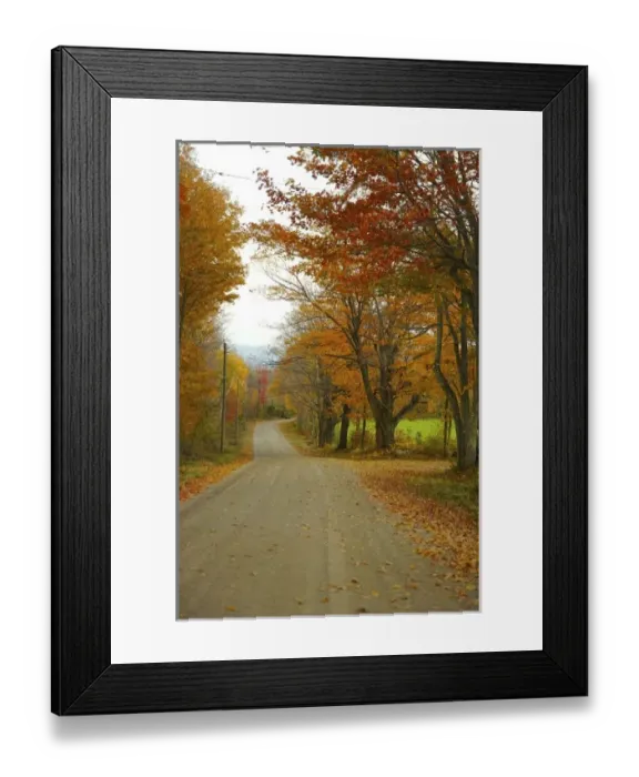 Framed Print : North America, USA, Massachusetts, Shelburne. Bright autumn foliage over a winding dirt road