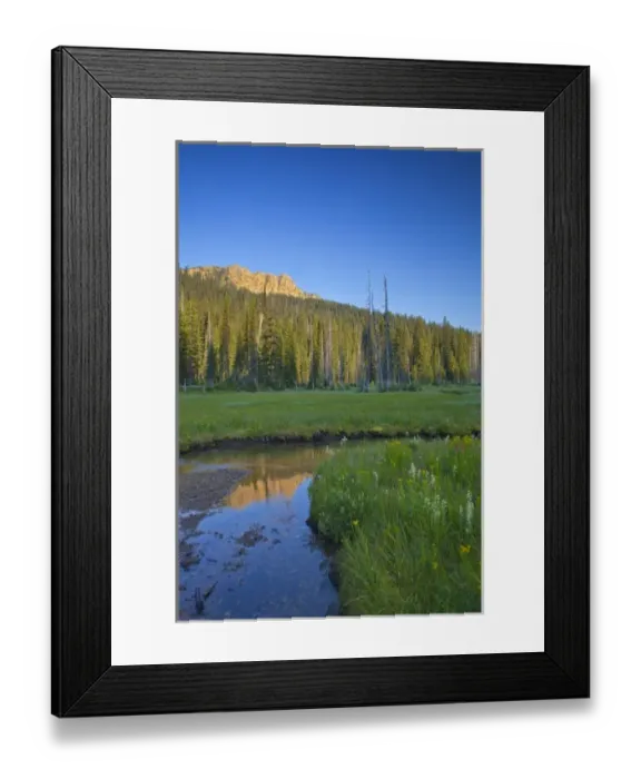 Framed Print : Big Therriault Creek runs through lush summer meadow below St Clair Peak in the Ten Framed Print : Big Therriault Creek runs through lush summer meadow below St Clair Peak in the Ten