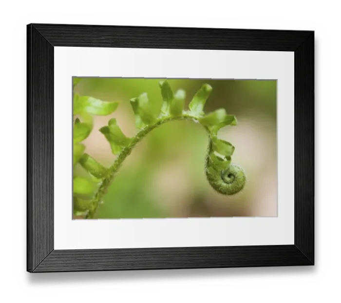 Framed Print : USA, North America, Massachusetts Framed Print : USA, North America, Massachusetts