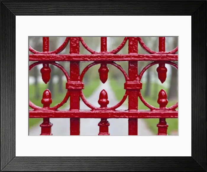 Framed Print : Calumet Horse Farm, Lexington, Kentucky Framed Print : Calumet Horse Farm, Lexington, Kentucky