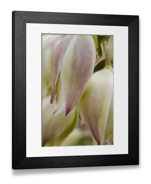 Framed Print : USA, North America, Nebraska Framed Print : USA, North America, Nebraska