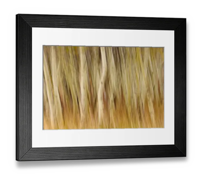 Framed Print : USA, North America, Montana