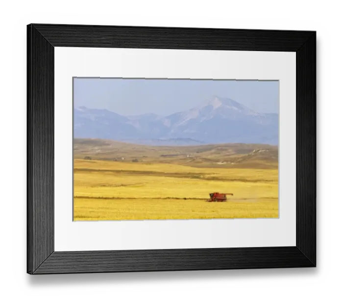 Framed Print : USA, North America, Montana