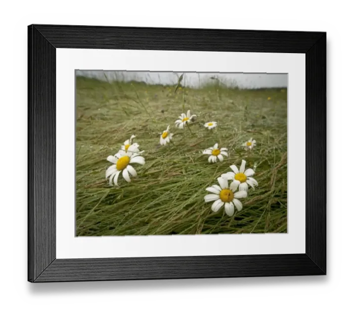 Framed Print : USA, North America, Maine Framed Print : USA, North America, Maine