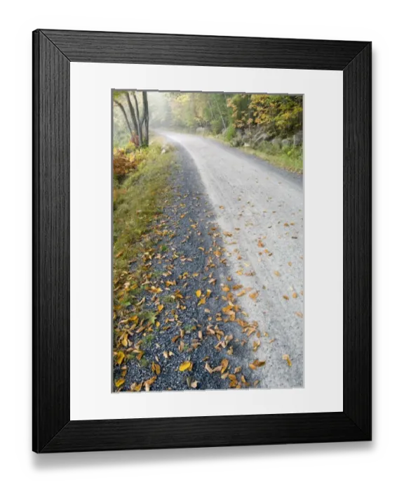 Framed Print : USA, North America, Maine