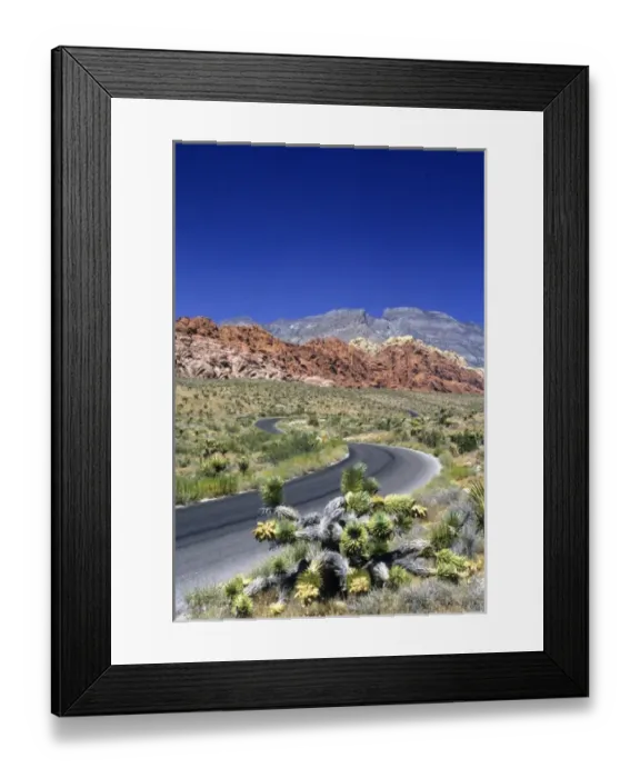 Framed Print : Red Rock Canyon National Conservation Area, Las Vegas, Nevada, USA