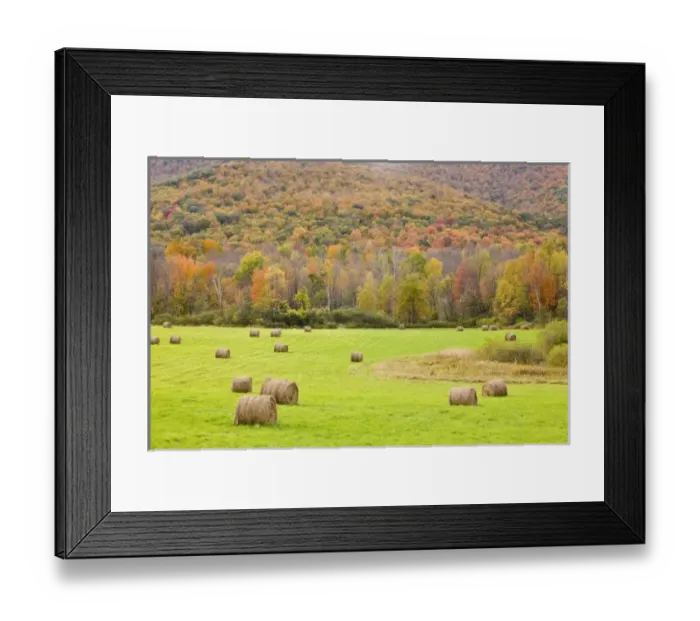 Framed Print : USA, North America, Massachusetts Framed Print : USA, North America, Massachusetts