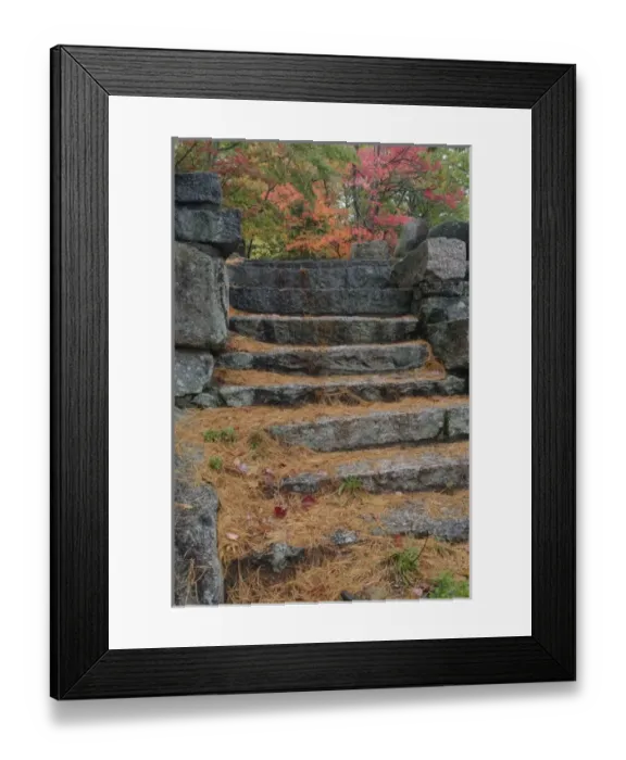 Framed Print : Steps covered in pine needles, White Mountain National Forest, New Hampshire Framed Print : Steps covered in pine needles, White Mountain National Forest, New Hampshire