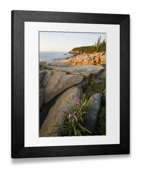 Framed Print : USA, North America, Maine