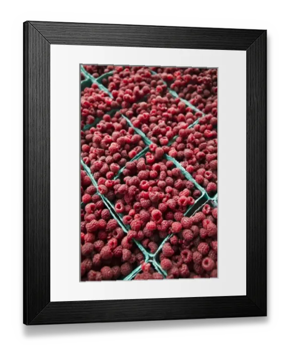 Framed Print : USA, Michigan, Ann Arbor: Ann Arbor Farmers Market, Raspberries