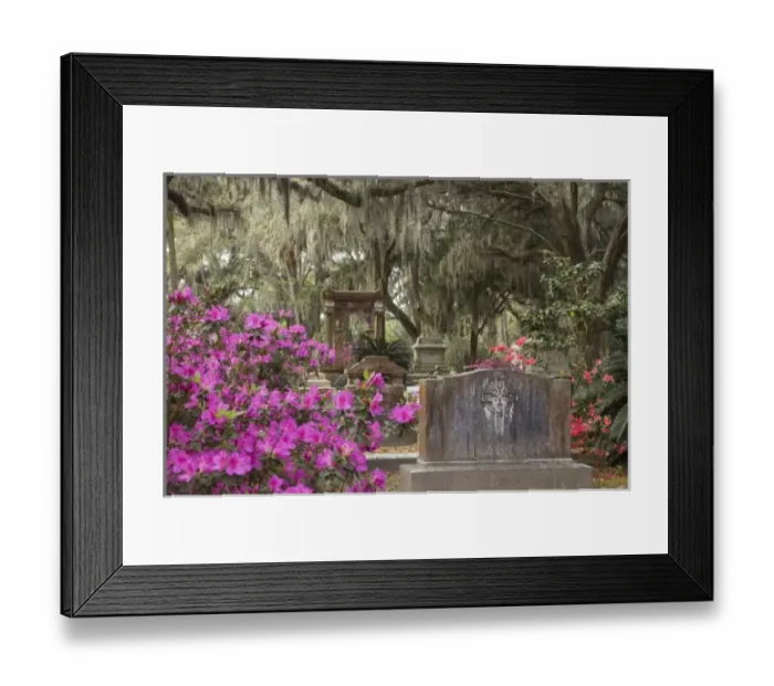Framed Print : USA, North America, Georgia Framed Print : USA, North America, Georgia
