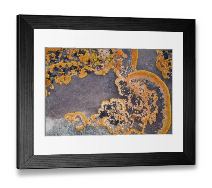Framed Print : USA, North America, Montana