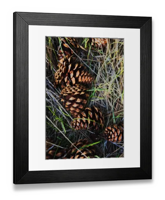 Framed Print : USA, North America, Montana