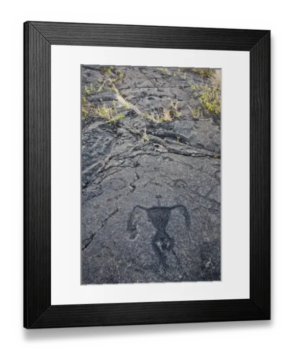 Framed Print : USA. Ancient native petroglyph in Volcanoes NP on the Big Island of Hawaii