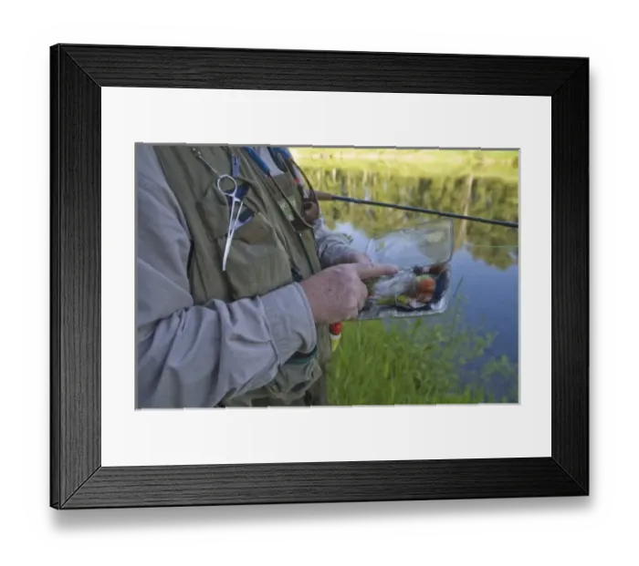 Framed Print : Selecting flies for fly fishing in the North Fork of the Coeur d Alene River near Framed Print : Selecting flies for fly fishing in the North Fork of the Coeur d Alene River near