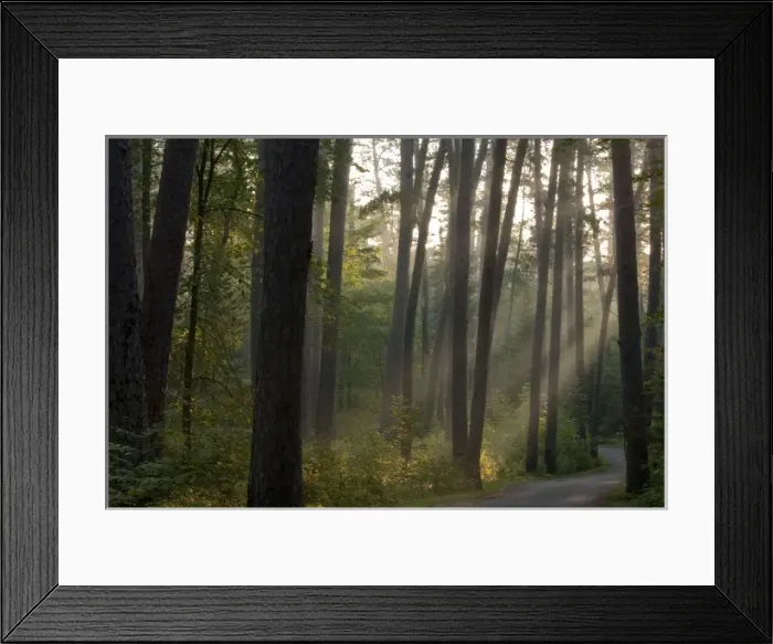 Framed Print : USA, North America, Minnesota