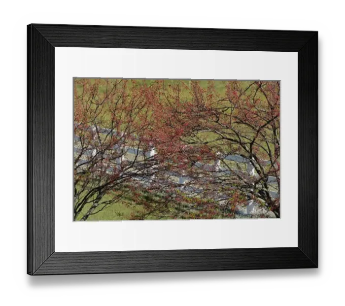 Framed Print : USA, North America, Kentucky Framed Print : USA, North America, Kentucky