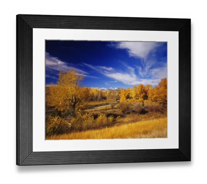Framed Print : Big Timber Creek in autumn with Crazy Mountains near Big Timber, Montana, USA Framed Print : Big Timber Creek in autumn with Crazy Mountains near Big Timber, Montana, USA