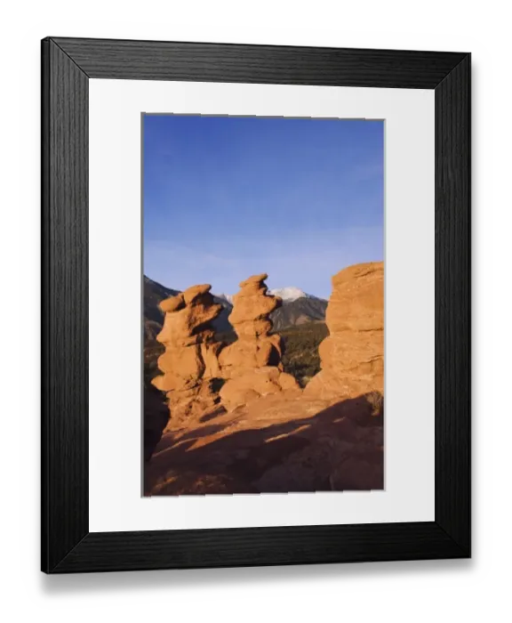 Framed Print : Nature, Fauna Framed Print : Nature, Fauna