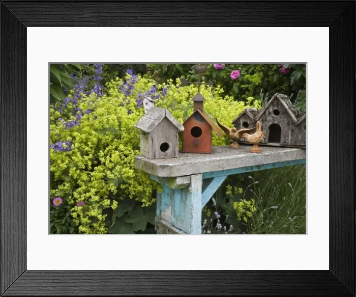 Framed Print : Lifestyle, Health, Beauty