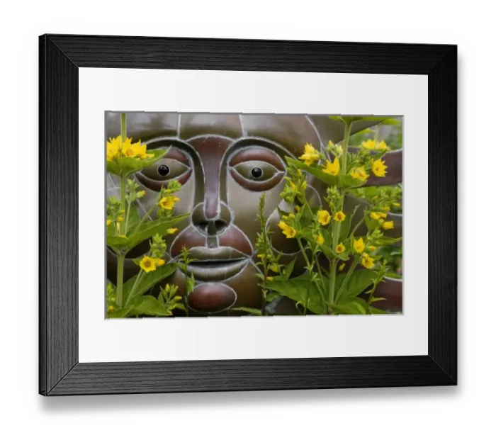 Framed Print : Lifestyle, Health, Beauty Framed Print : Lifestyle, Health, Beauty