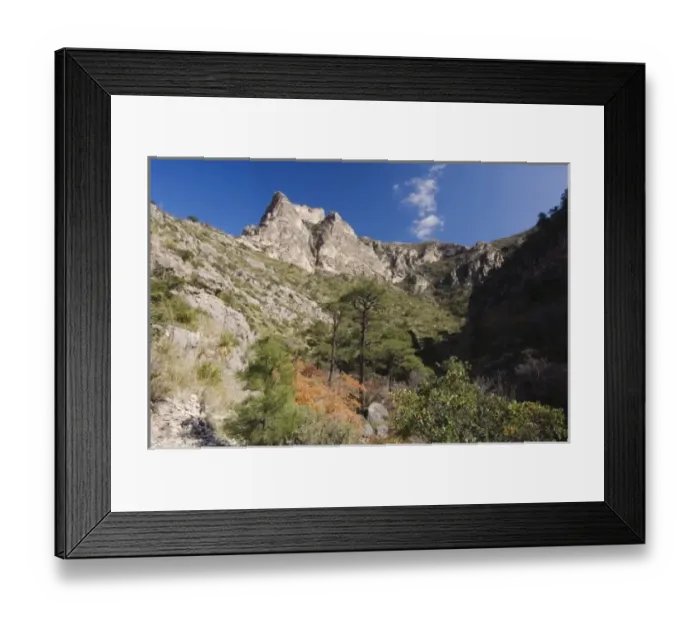 Framed Print : Mountains and canyon, McKittrick Canyon, Guadalupe Mountains National Park, Texas, USA Framed Print : Mountains and canyon, McKittrick Canyon, Guadalupe Mountains National Park, Texas, USA