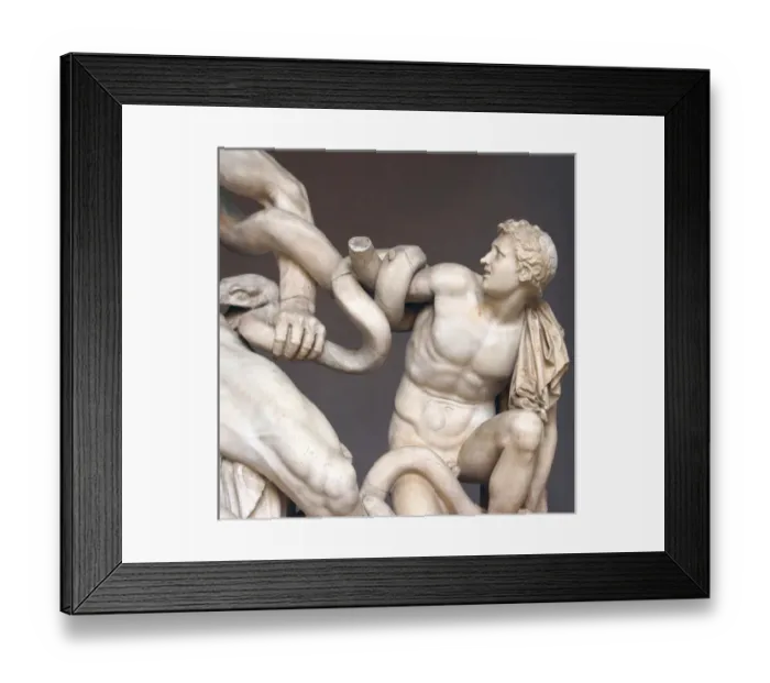 Framed Print : Art Greek. Hellenistic. Statue of Lacoon and his sons (Antiphates and Thymbraeus) Framed Print : Art Greek. Hellenistic. Statue of Lacoon and his sons (Antiphates and Thymbraeus)
