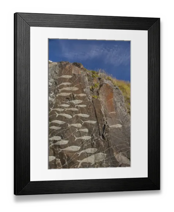Framed Print : Greenland, Qaqortoq. South Greenlands largest town. Rock art part of cultural