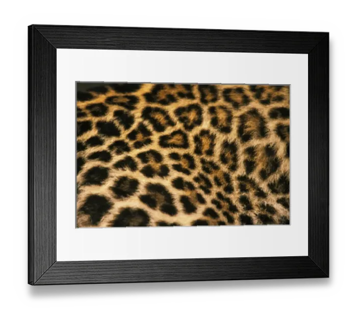 Framed Print : Nature, Fauna Framed Print : Nature, Fauna