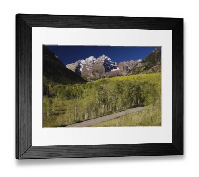 Framed Print : Nature, Fauna
