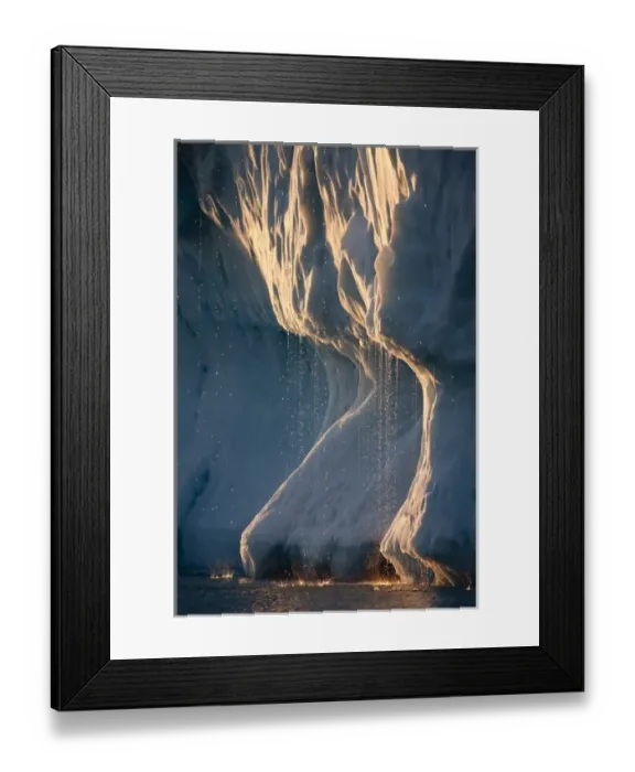 Framed Print : Greeland. Greenland, Ilulissat, Midnight sun lights melting iceberg calved Framed Print : Greeland. Greenland, Ilulissat, Midnight sun lights melting iceberg calved