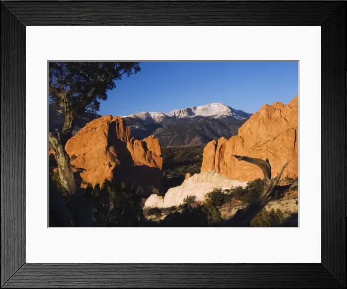 Framed Print : Nature, Fauna Framed Print : Nature, Fauna