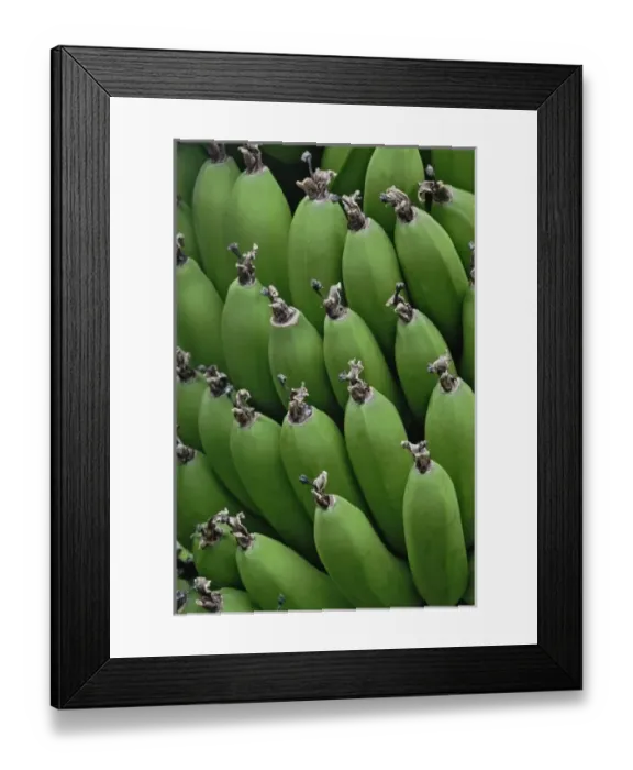 Framed Print : Green Bananas