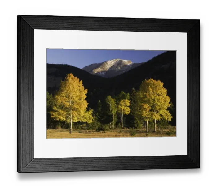 Framed Print : Nature, Fauna Framed Print : Nature, Fauna
