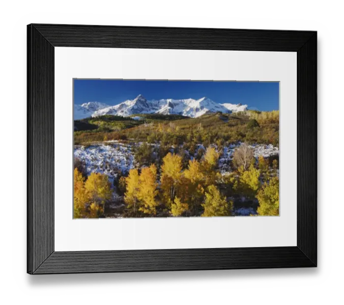 Framed Print : San Juan Mountains and Aspen trees in fallcolor at sunrise, Dallas Divide, Ouray