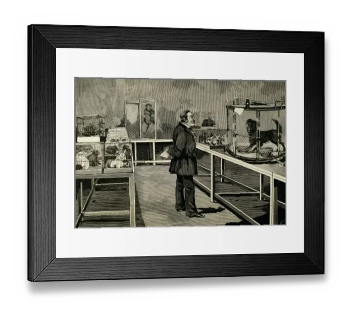 Framed Print : PASTEUR, Louis (1822-1895) French chemist and bacteriologist. Pasteur observes