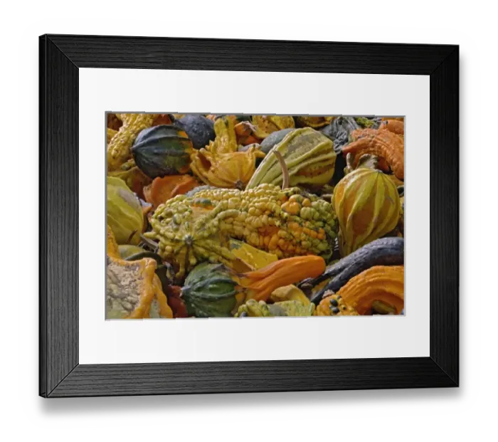Framed Print : Variety of squash