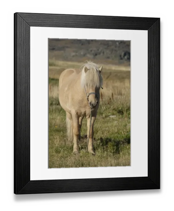 Framed Print : Greenland, Igaliku (aka Igaliko). Settlement known for ruins of Gardar Framed Print : Greenland, Igaliku (aka Igaliko). Settlement known for ruins of Gardar
