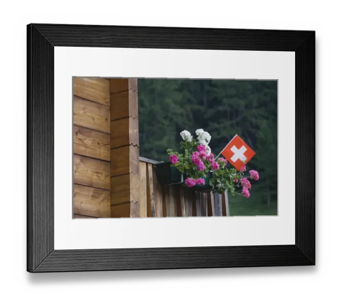 Framed Print : Swiss flag and flower pot, Binn, Wallis, Switzerland, August Framed Print : Swiss flag and flower pot, Binn, Wallis, Switzerland, August