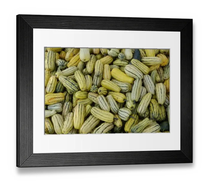 Framed Print : Nature, Flora Framed Print : Nature, Flora