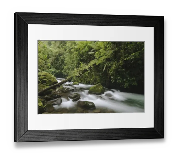 Framed Print : Nature, Fauna