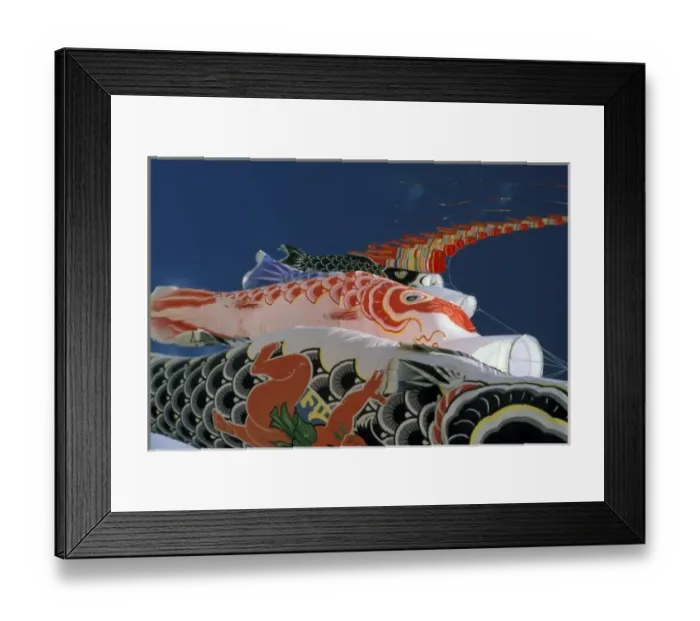 Framed Print : Kites Framed Print : Kites