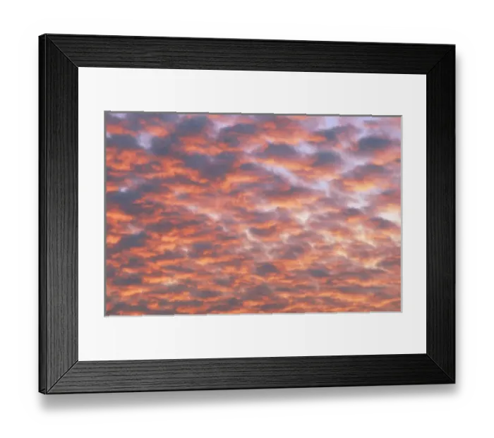 Framed Print : Cumulus clouds at sunset Framed Print : Cumulus clouds at sunset