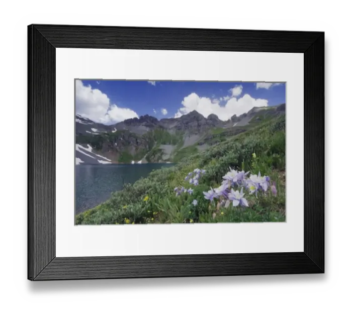 Framed Print : Clear Lake with wildflowers in alpine meadow, Blue Columbine, Colorado Columbine Framed Print : Clear Lake with wildflowers in alpine meadow, Blue Columbine, Colorado Columbine