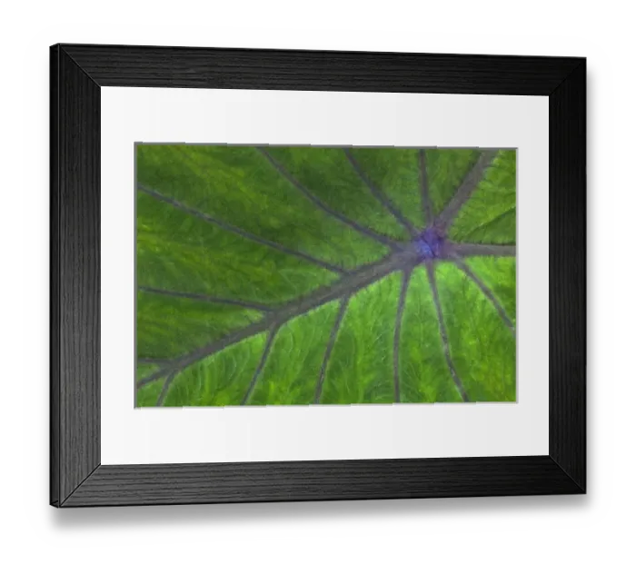 Framed Print : Tropical leaf pattern