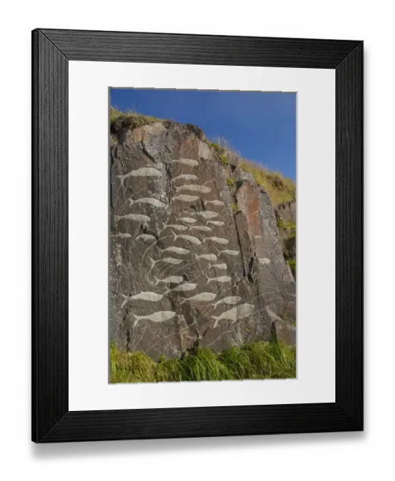 Framed Print : Greenland, Qaqortoq. South Greenlands largest town. Rock art part of cultural