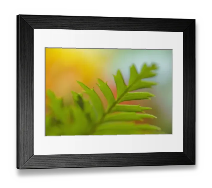 Framed Print : Nature, Flora