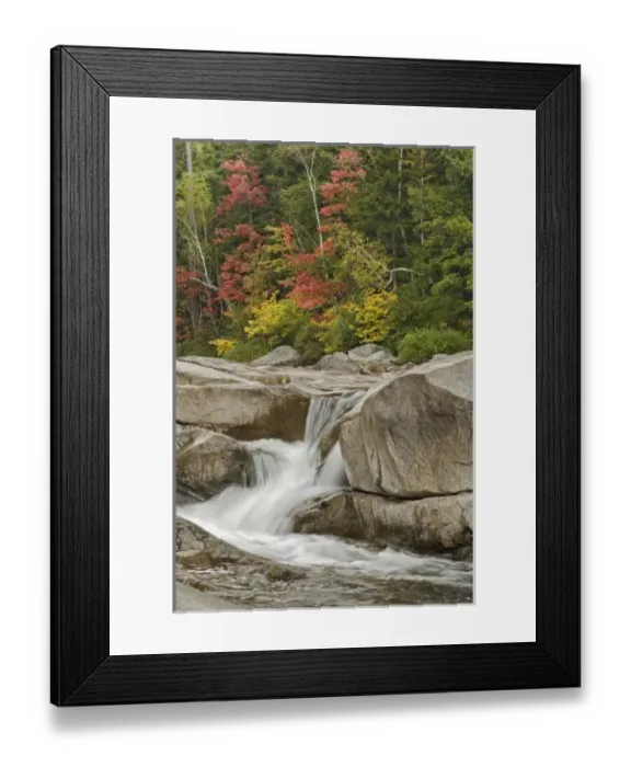 Framed Print : Nature, Flora Framed Print : Nature, Flora