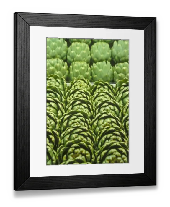 Framed Print : Lifestyle. Rows of green artichokes